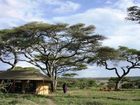 фото отеля Lemala Ndutu Tented Camp Serengeti