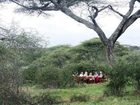 фото отеля Lemala Ndutu Tented Camp Serengeti