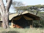 фото отеля Lemala Ndutu Tented Camp Serengeti