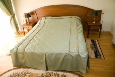 фото отеля Hotel Olesya