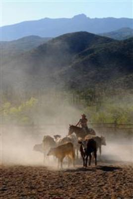 фото отеля Tanque Verde Ranch Resort Tucson