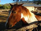 фото отеля Tanque Verde Ranch Resort Tucson