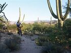 фото отеля Tanque Verde Ranch Resort Tucson