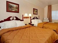 Comfort Inn Elko
