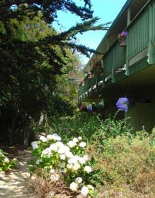 фото отеля Carmel River Inn
