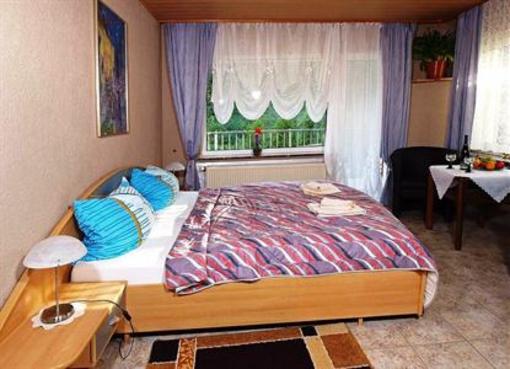 фото отеля Hotel Pension Steeger Tal Bacharach