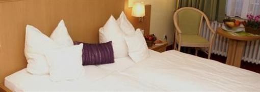 фото отеля Hotel Riemann