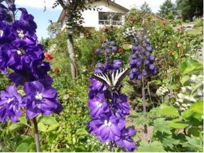 фото отеля Armand Heights Bed and Breakfast