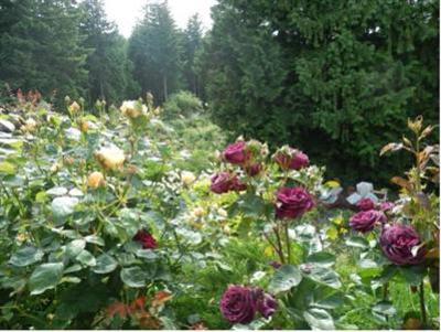 фото отеля Armand Heights Bed and Breakfast