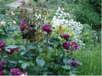 фото отеля Armand Heights Bed and Breakfast