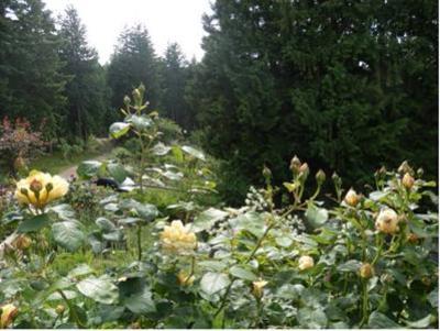фото отеля Armand Heights Bed and Breakfast