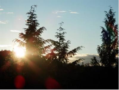 фото отеля Armand Heights Bed and Breakfast