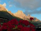 фото отеля Des Alpes Grand Hotel San Martino di Castrozza