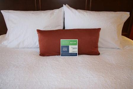 фото отеля Hampton Inn & Suites St. Louis/South I-55
