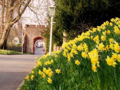 фото отеля Ruthin Castle Hotel