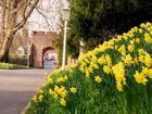 фото отеля Ruthin Castle Hotel