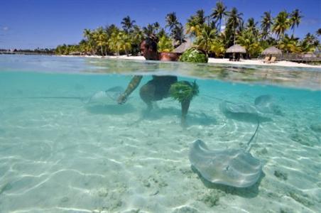 фото отеля InterContinental Thalasso-Spa Bora Bora