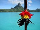 фото отеля InterContinental Thalasso-Spa Bora Bora