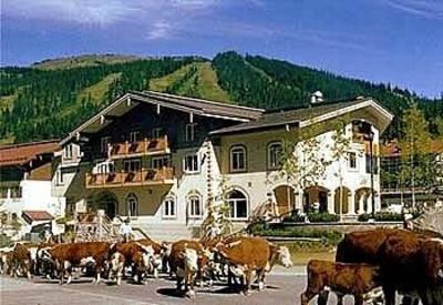 фото отеля Heffley Boutique Inn
