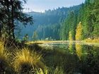 фото отеля Landhotel Stockerhof Baiersbronn