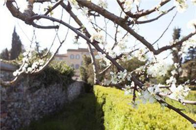 фото отеля Badia Di Campoleone Green Resort Capolona