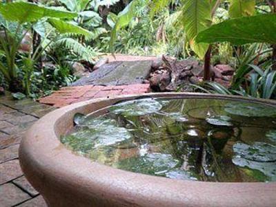 фото отеля Dinkwe Guest House