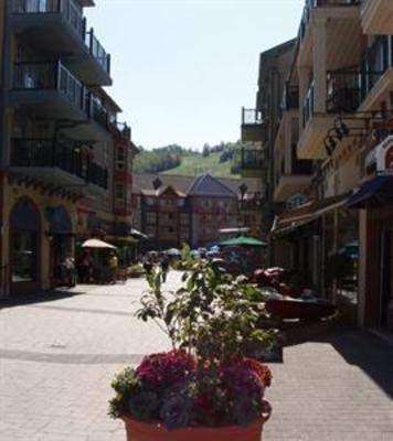 фото отеля Holiday Inn Express Hotel & Suites Collingwood - Blue Mountain
