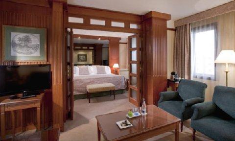 фото отеля Melia Girona