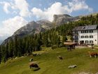 фото отеля Rifugio Gardenacia