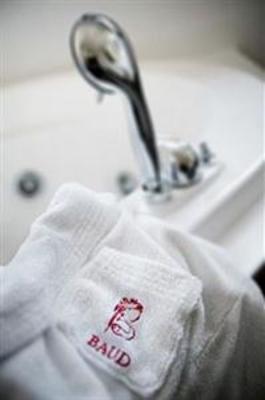 фото отеля Baud Hotel Bonne