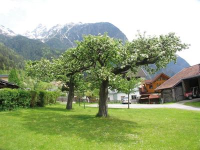 фото отеля Stern Gasthof