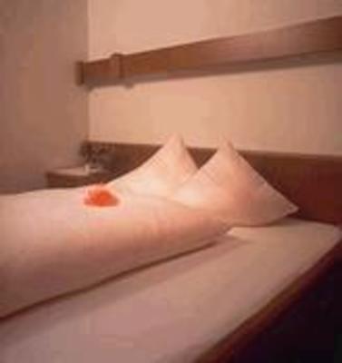 фото отеля Hotel Fuchsenstube