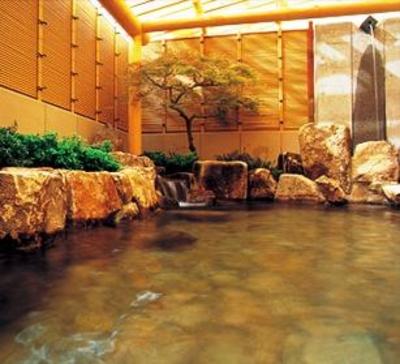 фото отеля Hotel Hana Isawa