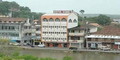 фото отеля Hotel Sona Royale