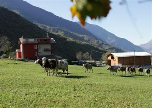 фото отеля Agriturismo Stella Orobica