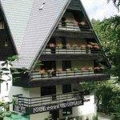 фото отеля Smart Hotel Poiana Brasov