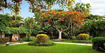 фото отеля Sandals Halcyon Beach Resort Castries