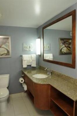 фото отеля Holiday Inn Columbia (Maryland)