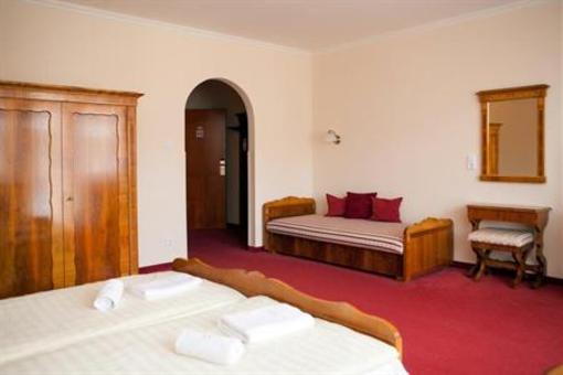 фото отеля Flamingo Wellness es Konferencia Hotel