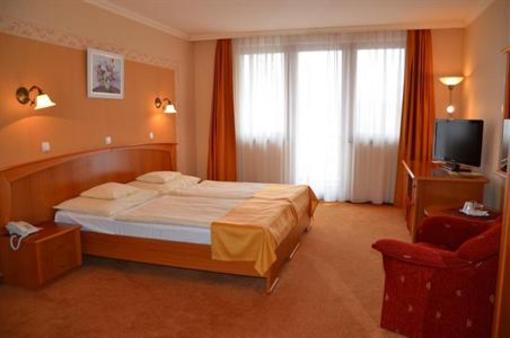 фото отеля Flamingo Wellness es Konferencia Hotel