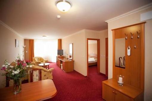 фото отеля Flamingo Wellness es Konferencia Hotel