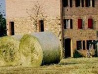 Agriturismo La Razza Reggio Emilia