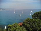 фото отеля Hotel Alexandra Roquebrune-Cap-Martin