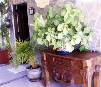 фото отеля Norman Diego's The Mexican Inn Bed & Breakfast Cabo San Lucas