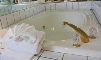 фото отеля Plaza Hotel and Suites Eau Claire