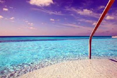фото отеля Bimini Bay Resort & Marina