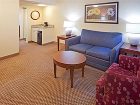 фото отеля Crowne Plaza Suites Arlington