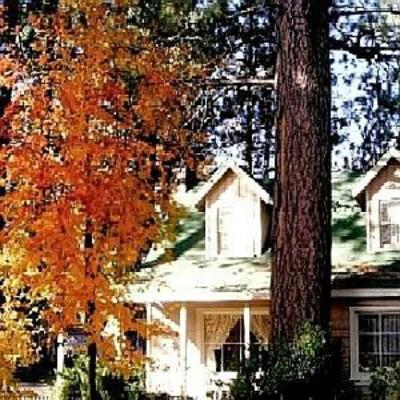 фото отеля Sleepy Forest Cottages