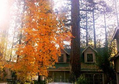 фото отеля Sleepy Forest Cottages