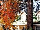 фото отеля Sleepy Forest Cottages